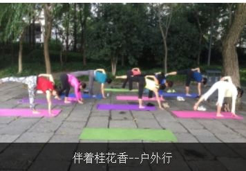 杭州瑜伽练习者